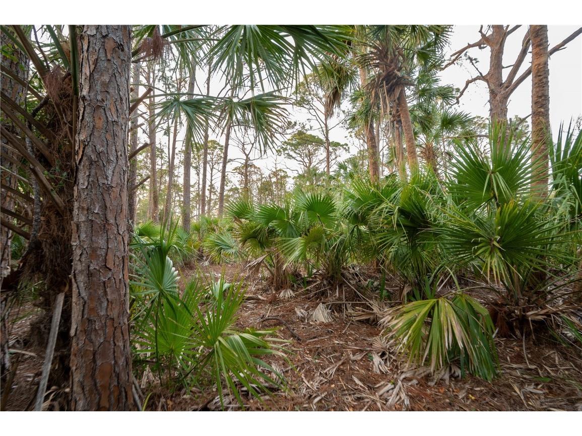 Kamsler Avenue North Port FL 34286 C7517843 image62