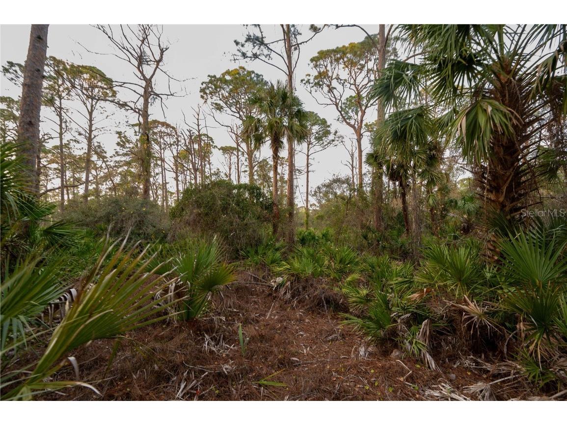 Kamsler Avenue North Port FL 34286 C7517843 image63