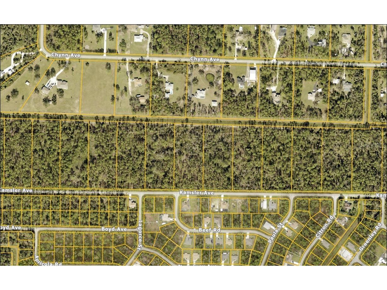 Kamsler Avenue North Port FL 34286 C7517848 image3