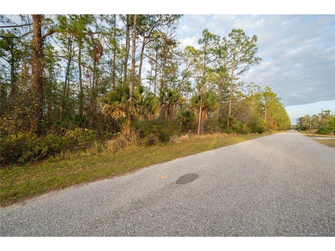 Kamsler Avenue North Port FL 34286 C7517848 image44