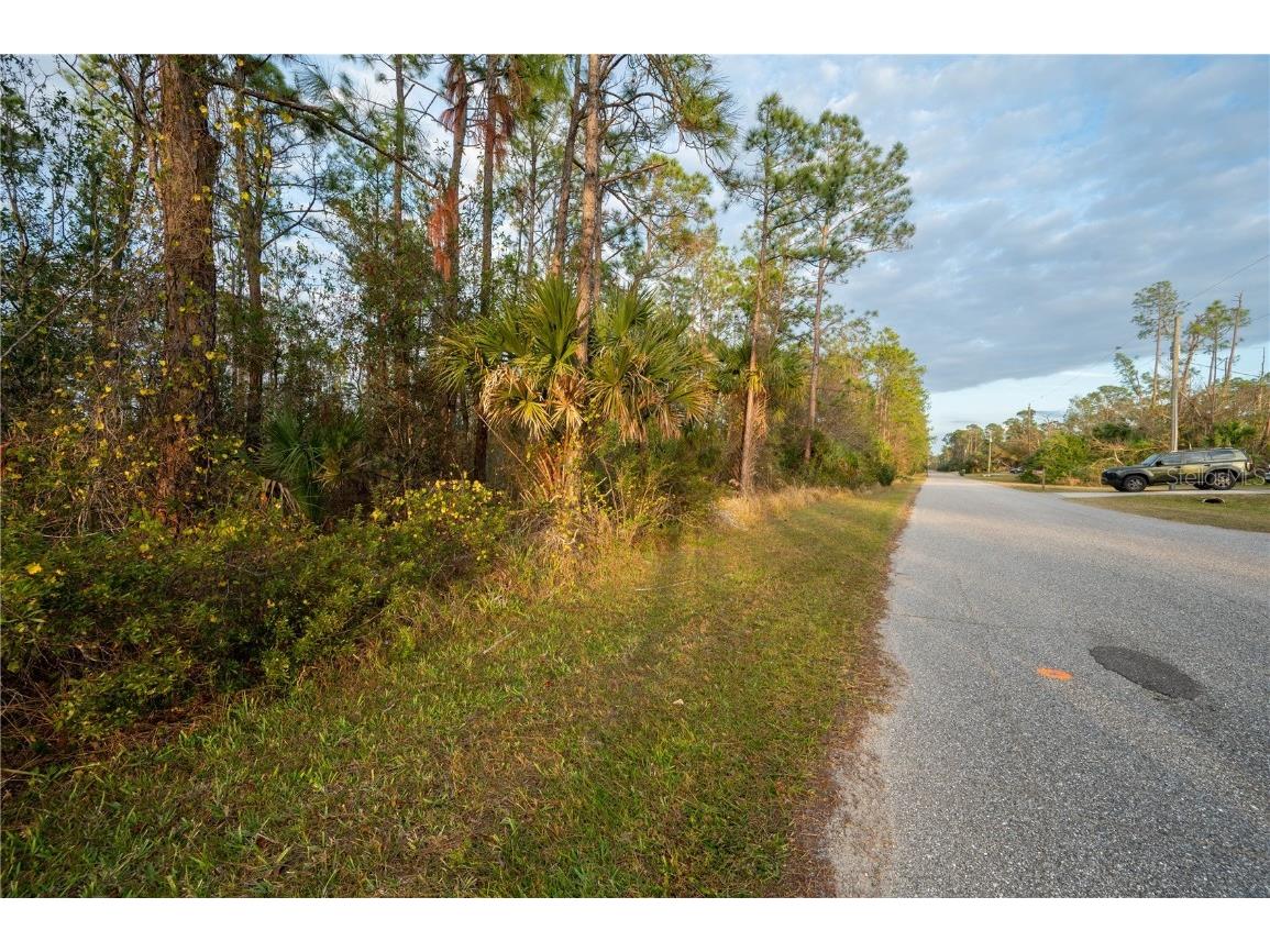 Kamsler Avenue North Port FL 34286 C7517853 image44