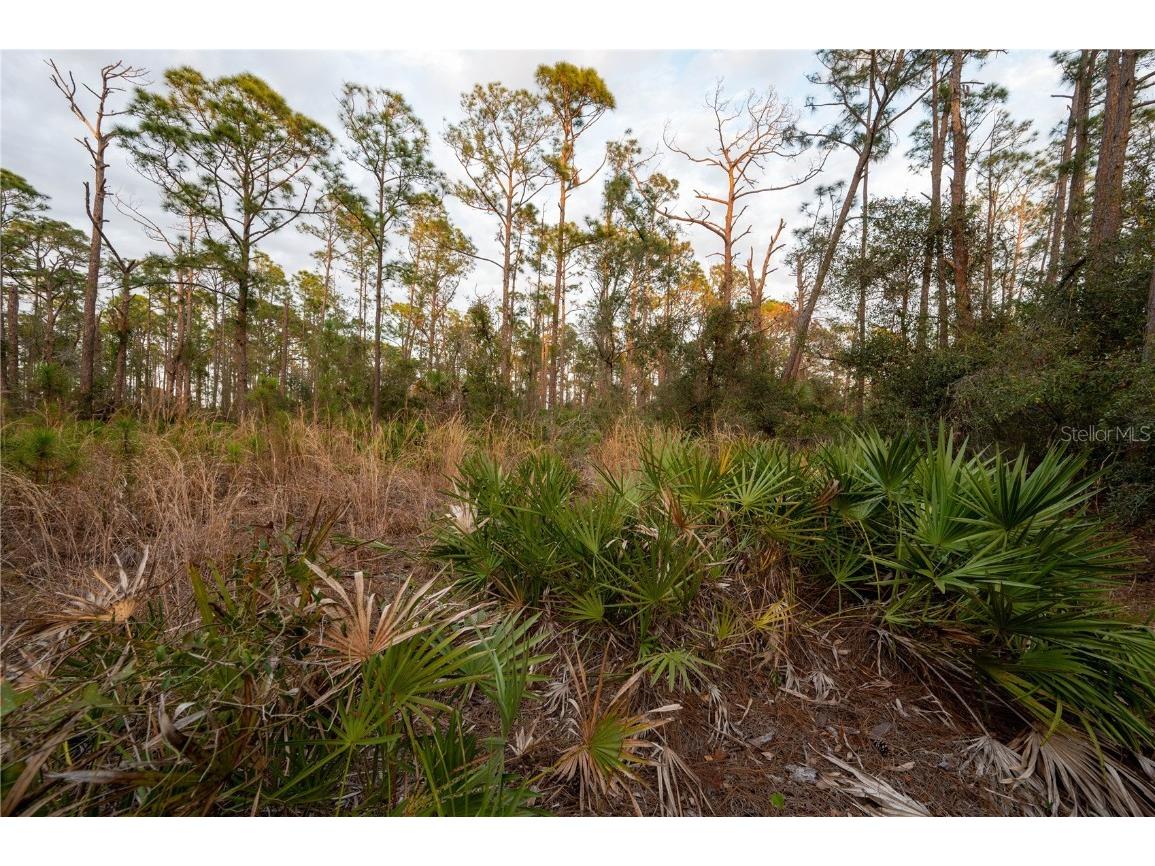 Kamsler Avenue North Port FL 34286 C7517853 image46