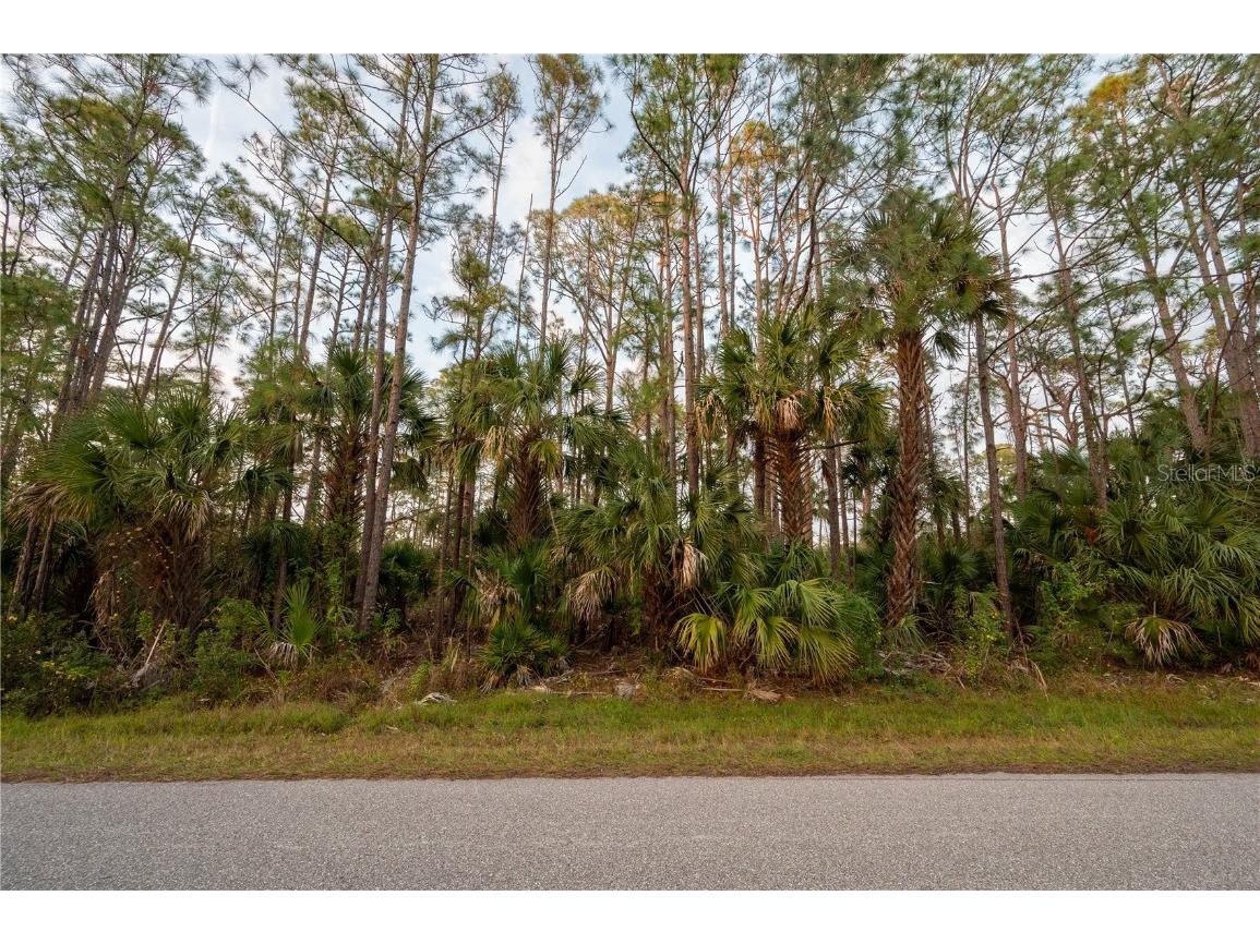 Kamsler Avenue North Port FL 34286 C7517853 image49