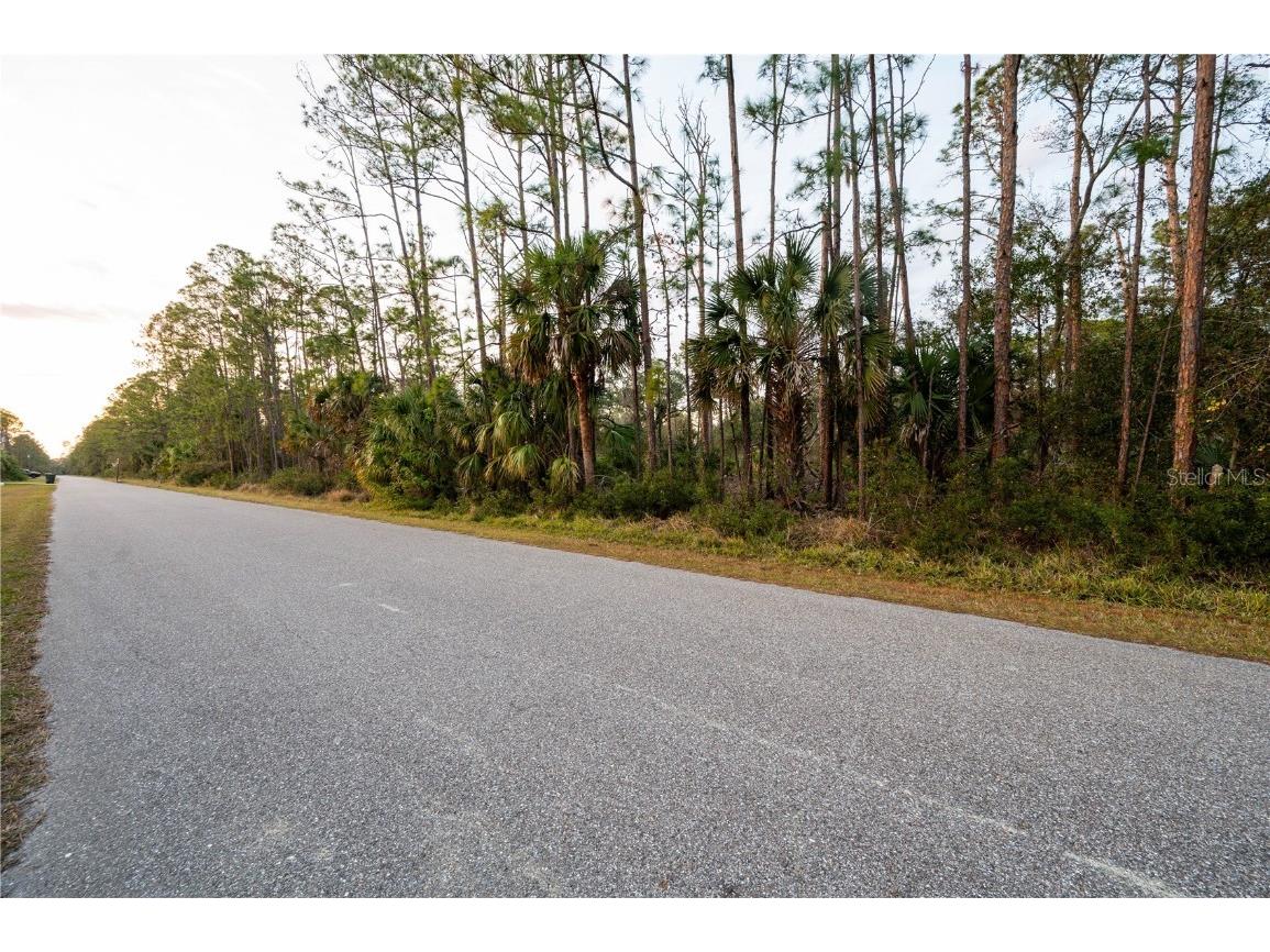 Kamsler Avenue North Port FL 34286 C7517853 image53