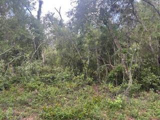 Karagan Court Webster FL 33597 G5098030 image2