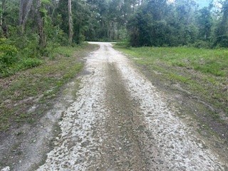 Karagan Court Webster FL 33597 G5098030 image3