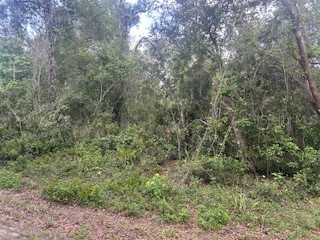 Karagan Court Webster FL 33597 G5098030 image4