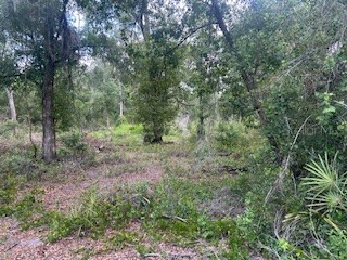 Karagan Court Webster FL 33597 G5098030 image5