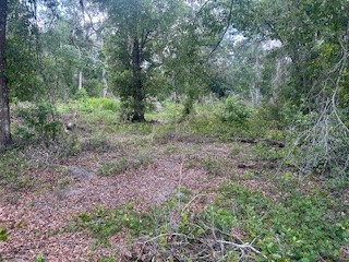 Karagan Court Webster FL 33597 G5098030 image6