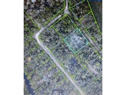 Karagan Court Webster FL 33597 G5098030 image7