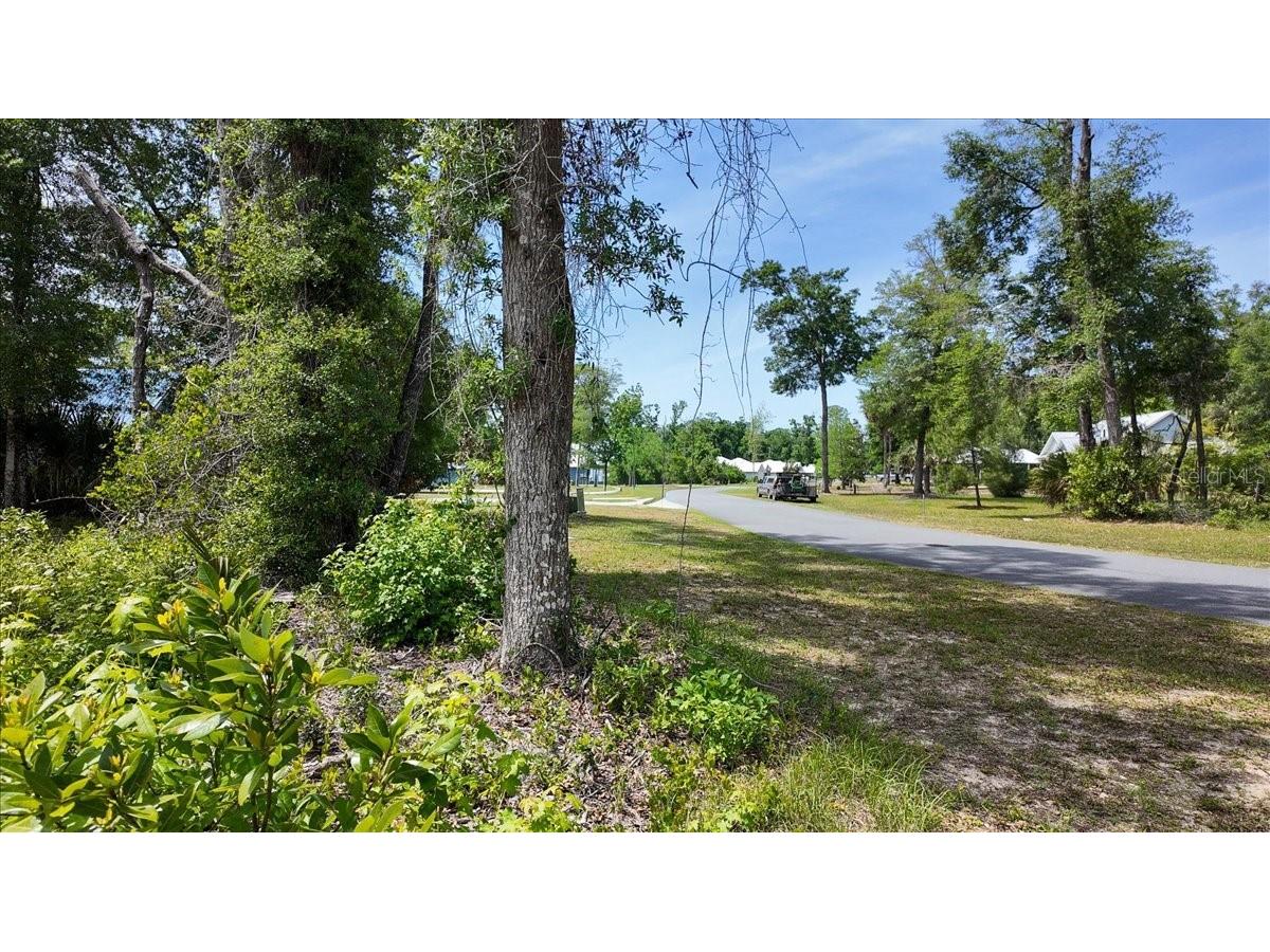 Katherine Way Fanning Springs FL 32693 W7886320 image10