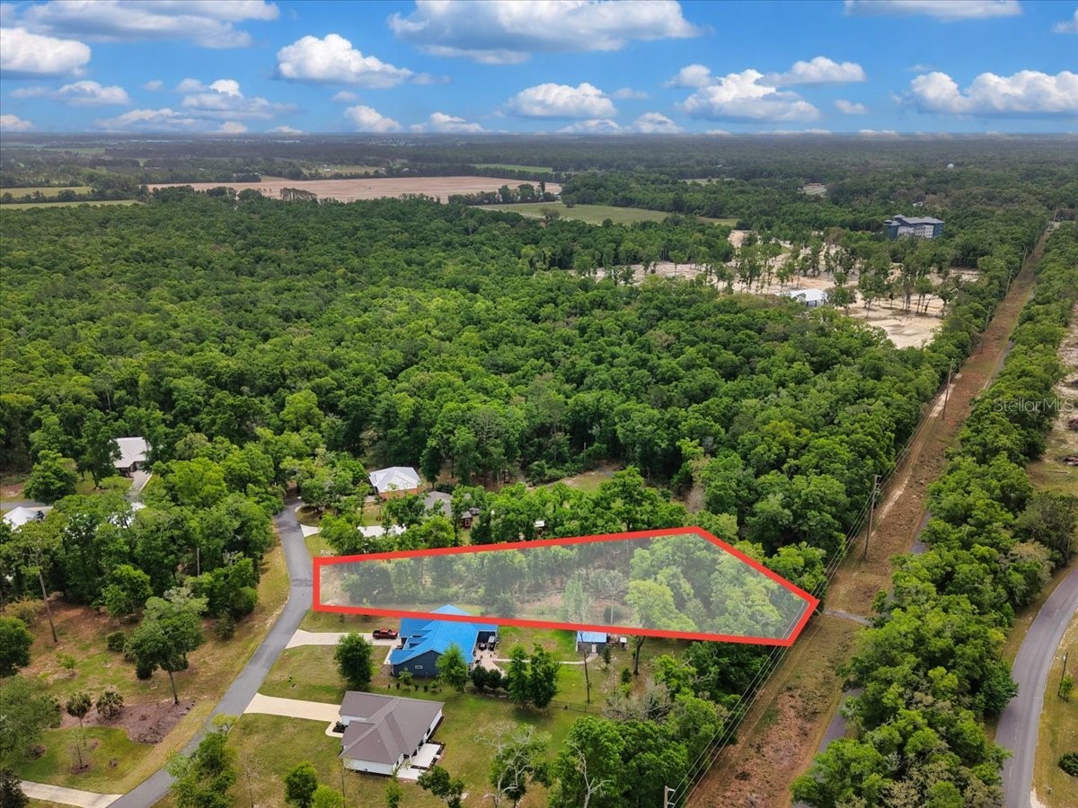 Katherine Way Fanning Springs FL 32693 W7886320 image11