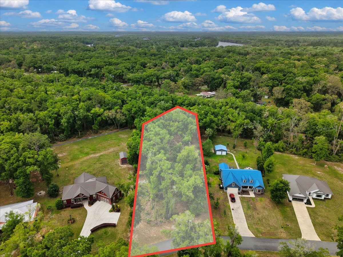 Katherine Way Fanning Springs FL 32693 W7886320 image12