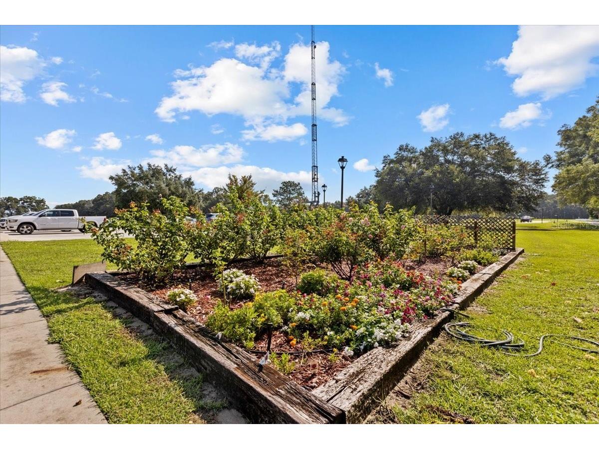 Katherine Way Fanning Springs FL 32693 W7886320 image30