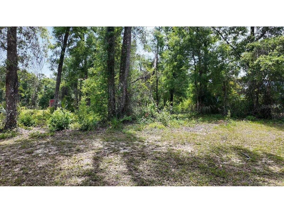 Katherine Way Fanning Springs FL 32693 W7886320 image4