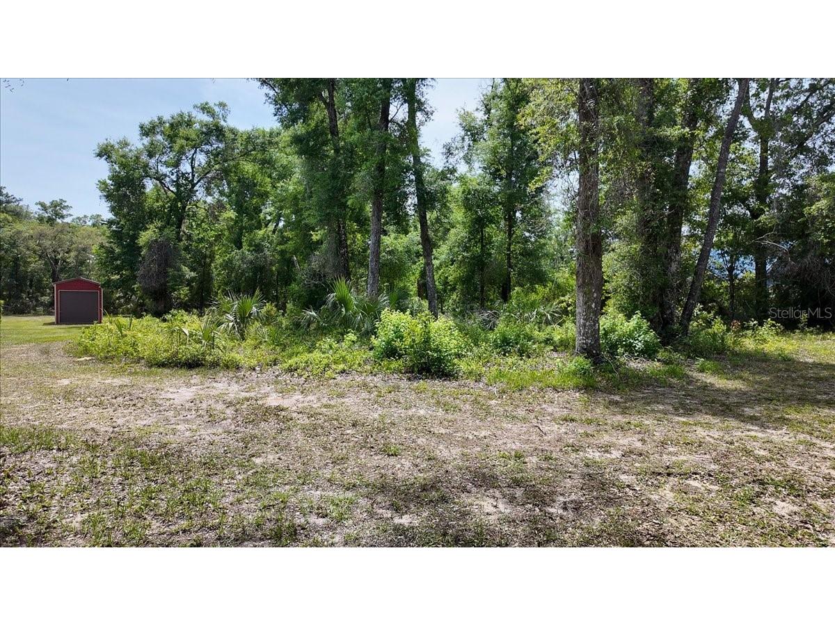 Katherine Way Fanning Springs FL 32693 W7886320 image5