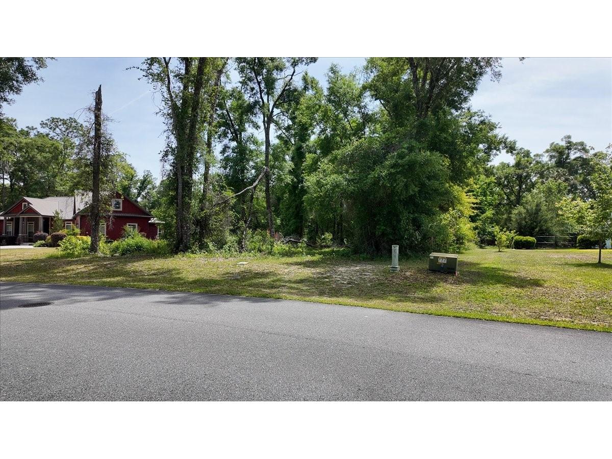 Katherine Way Fanning Springs FL 32693 W7886320 image6