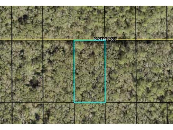 Kathy Street Hastings FL 32145 FC305016 image1