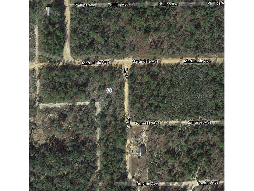 00 Kay Street Interlachen FL 32148 OM626210 image2
