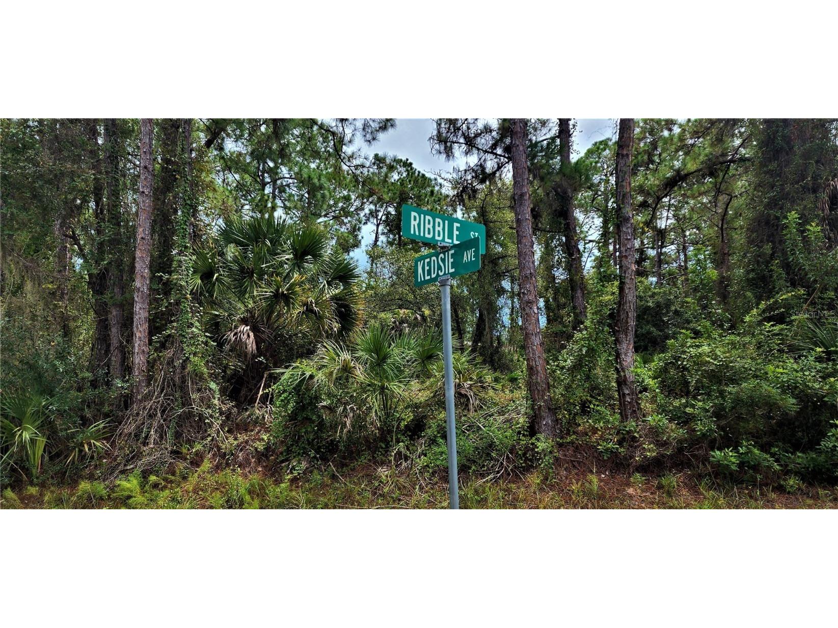 Kedsie Avenue North Port FL 34291 A4547551 image1
