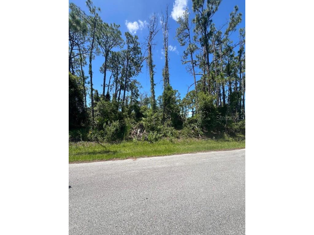 Kedsie Avenue North Port FL 34291 S5125559 image2