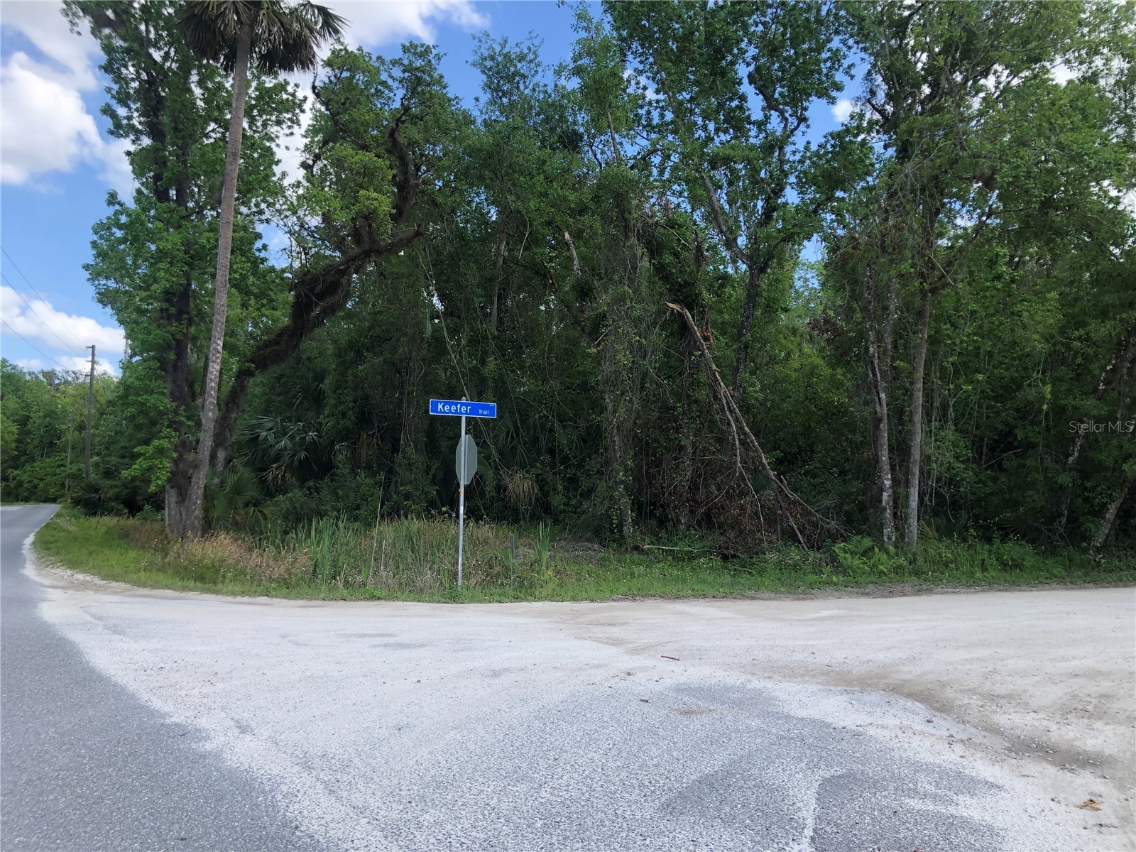 Keefer Trail Kissimmee FL 34747 S5123655 image13