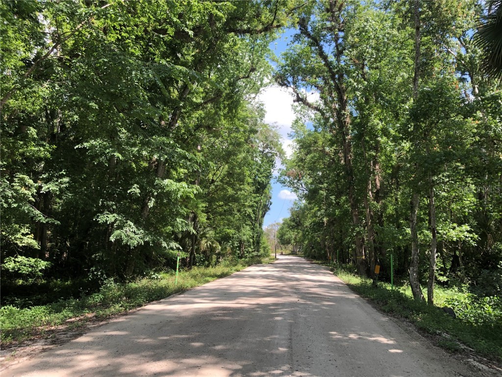 Keefer Trail Kissimmee FL 34747 S5123655 image2