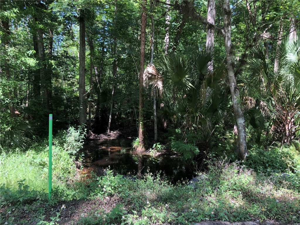 Keefer Trail Kissimmee FL 34747 S5123655 image3