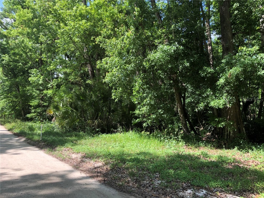 Keefer Trail Kissimmee FL 34747 S5123655 image4