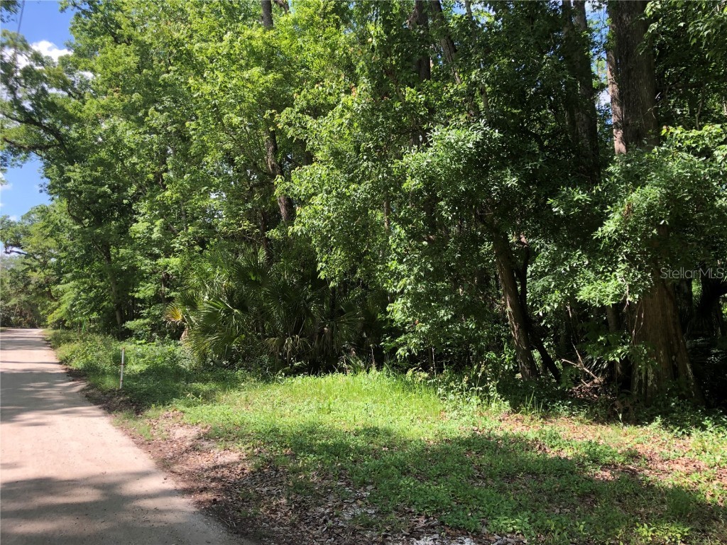 Keefer Trail Kissimmee FL 34747 S5123655 image5