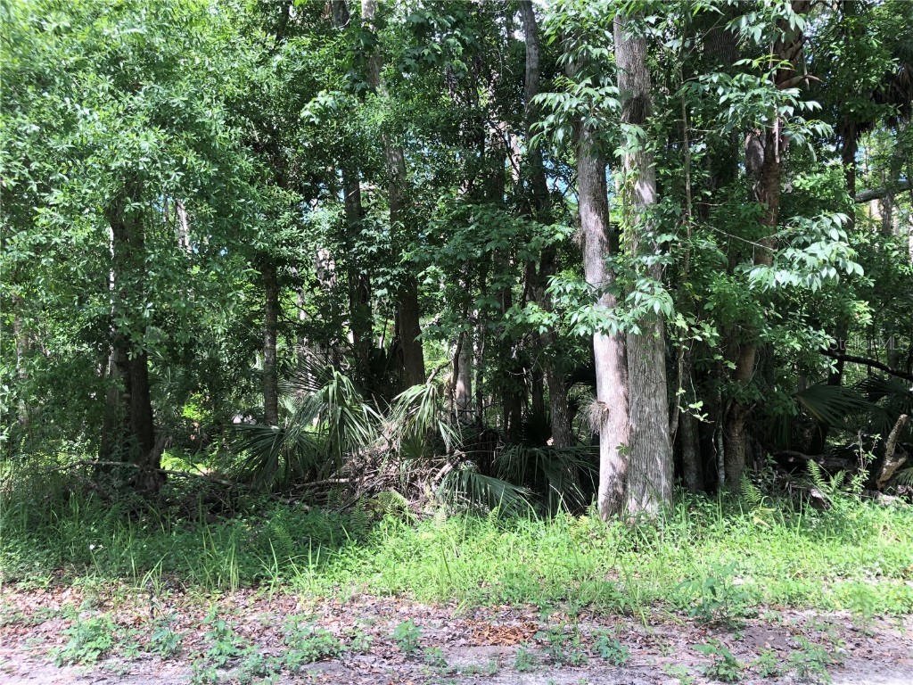 Keefer Trail Kissimmee FL 34747 S5123655 image6