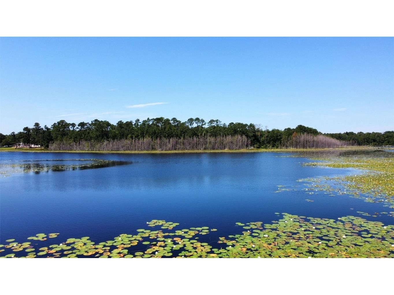 Keene Rd Lot 3 Altoona FL 32702 - North Twin Lake G5077683 image1