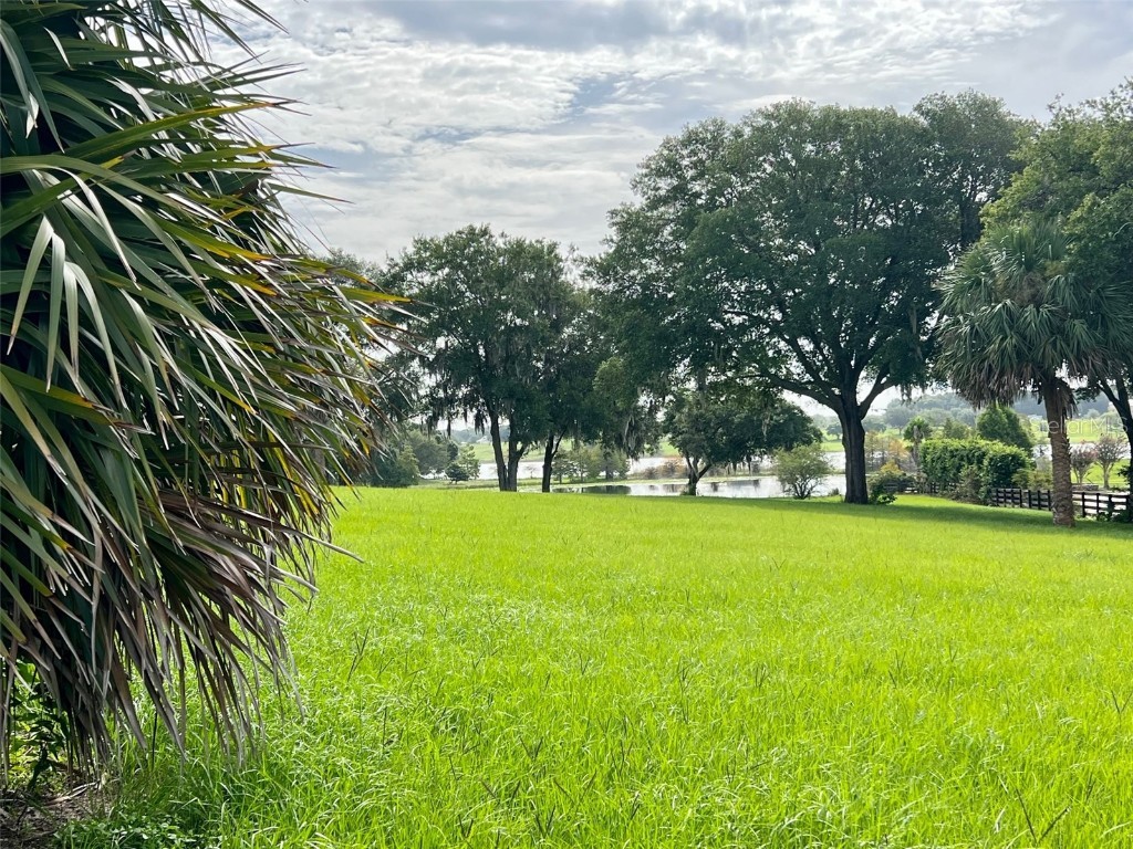 Keene Road Umatilla FL 32784 - COOLEY G5072926 image1