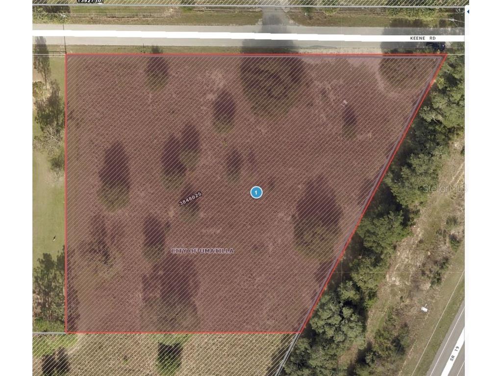 Keene Road Umatilla FL 32784 O6355565 image2