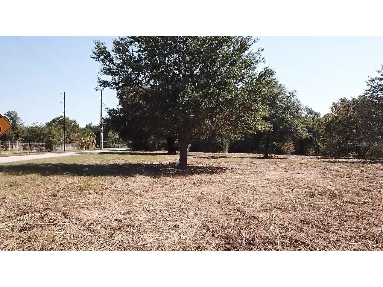 Keene Road Umatilla FL 32784 O6355565 image3