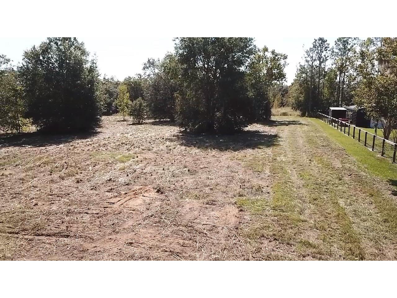 Keene Road Umatilla FL 32784 O6355565 image4