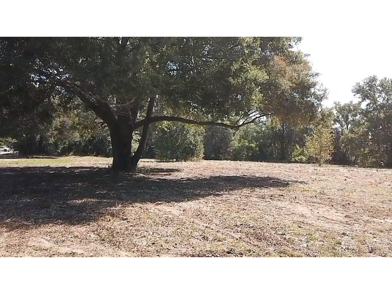 Keene Road Umatilla FL 32784 O6355565 image6