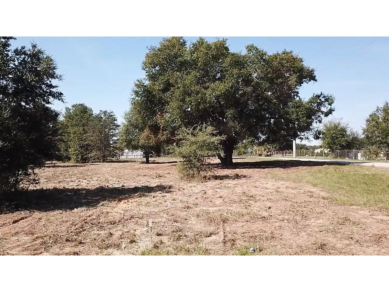 Keene Road Umatilla FL 32784 O6355565 image7