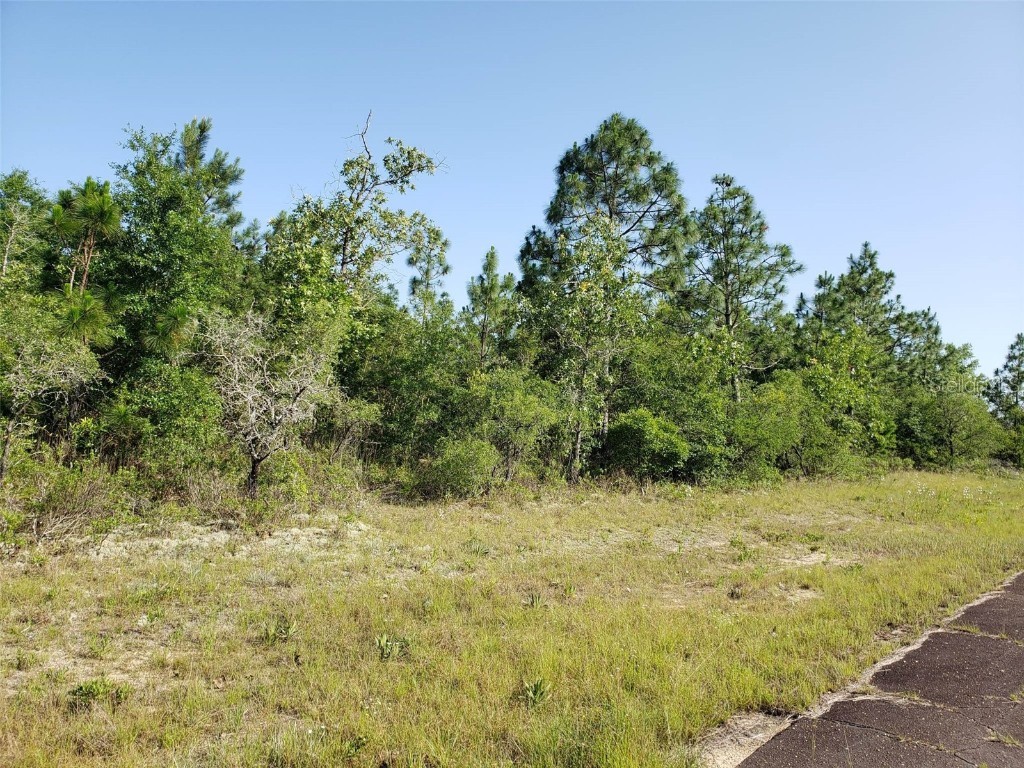 Keesler Lane Chipley FL 32428 T3547875 image1