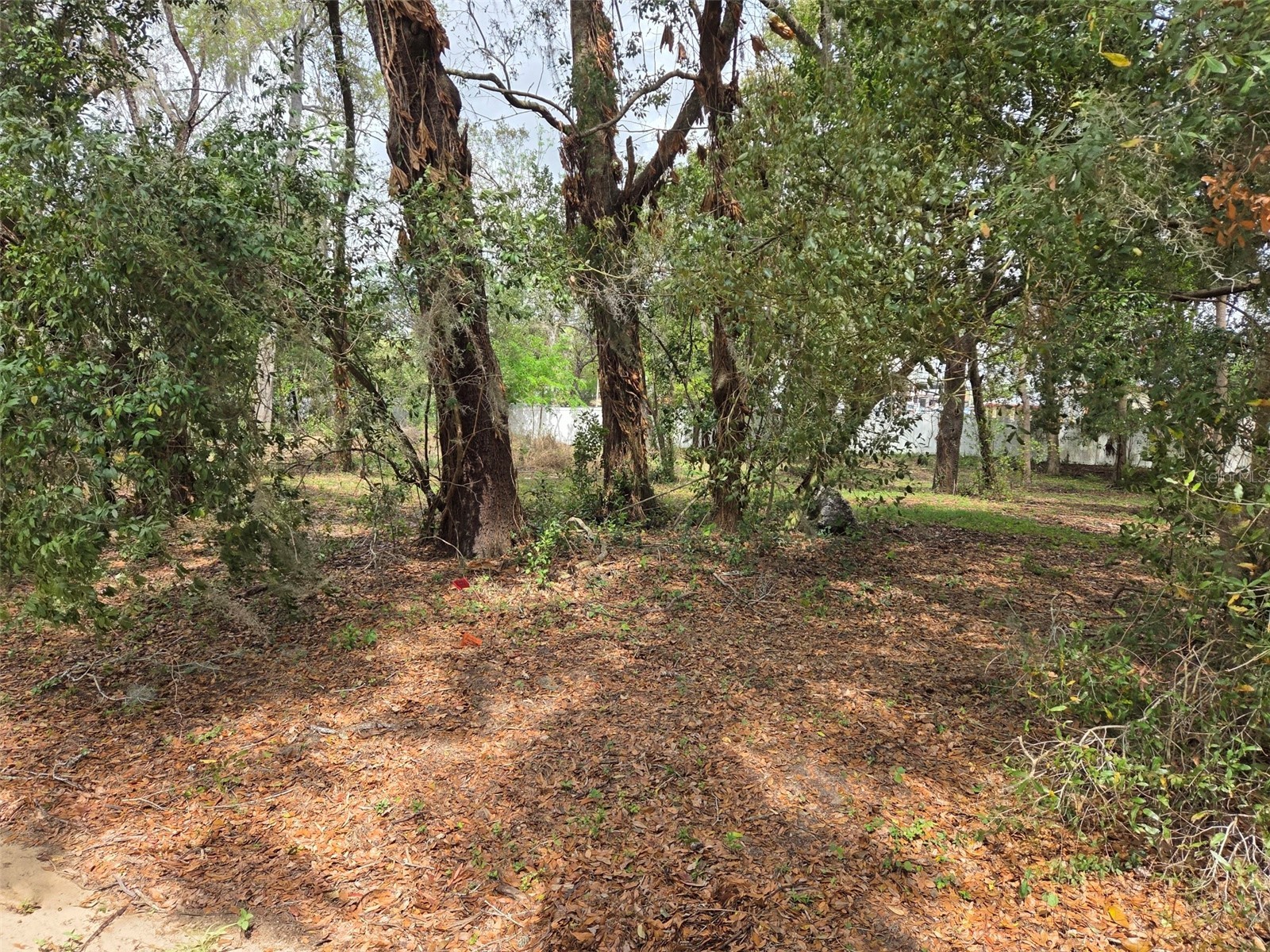 Kelly Lynn Court Zephyrhills FL 33541 TB8488339 image2