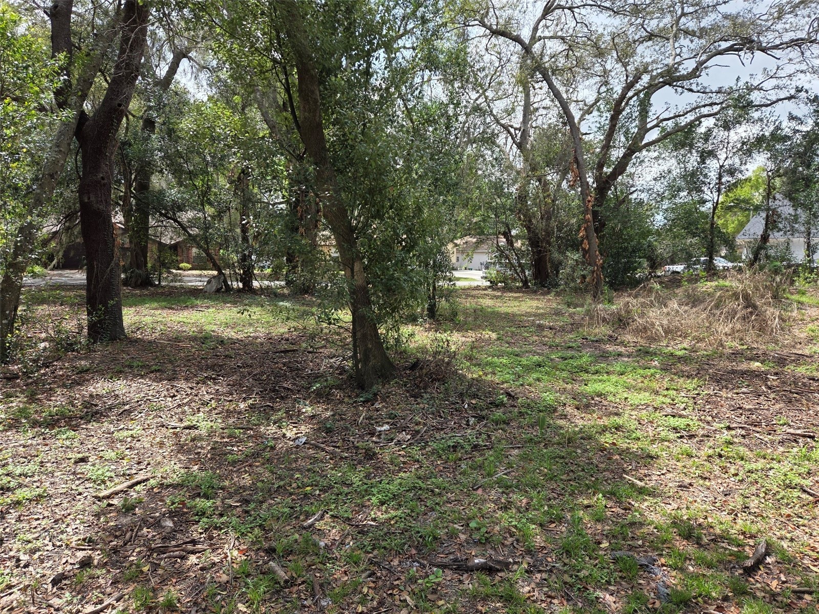 Kelly Lynn Court Zephyrhills FL 33541 TB8488339 image4