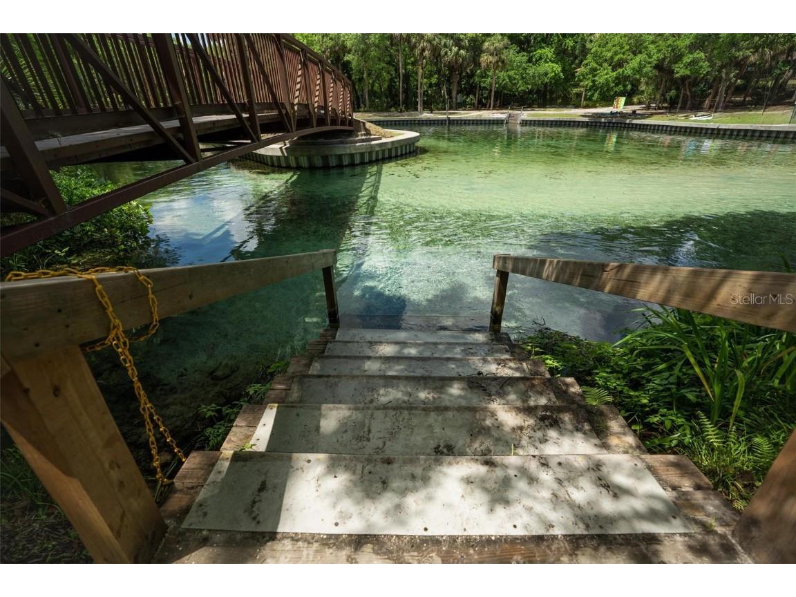 Kelly Park Road E Apopka FL 32712 V4941761 image13