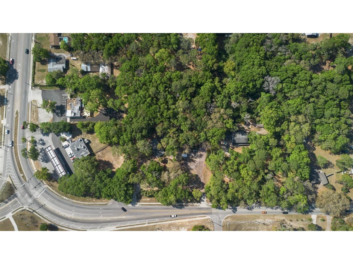 Kelly Park Road E Apopka FL 32712 V4941761 image14