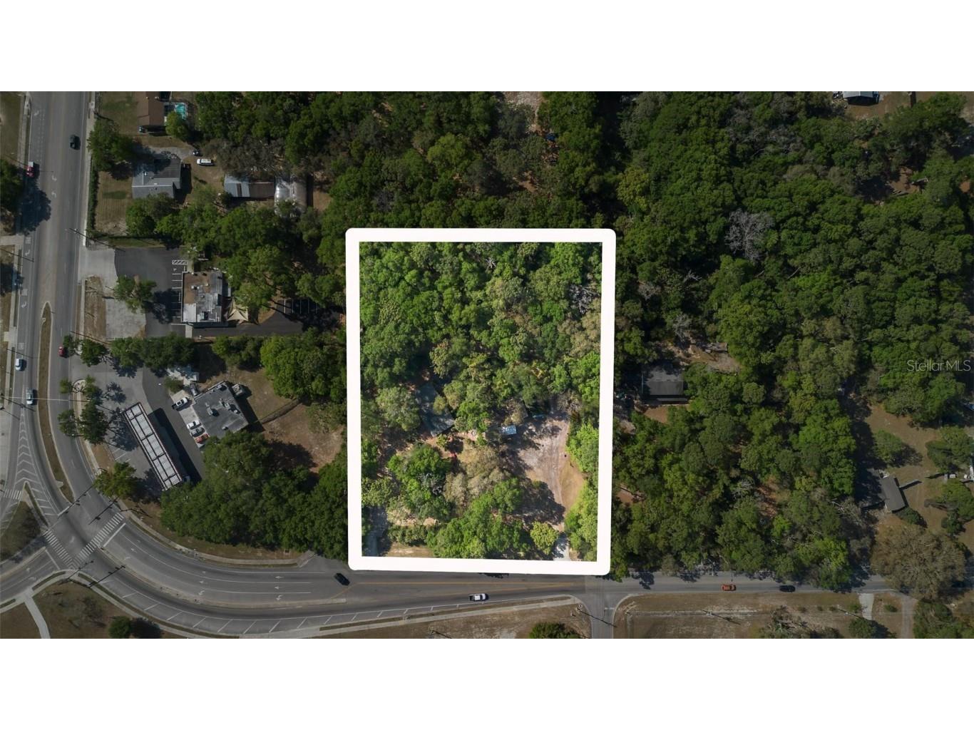 Kelly Park Road E Apopka FL 32712 V4941761 image15