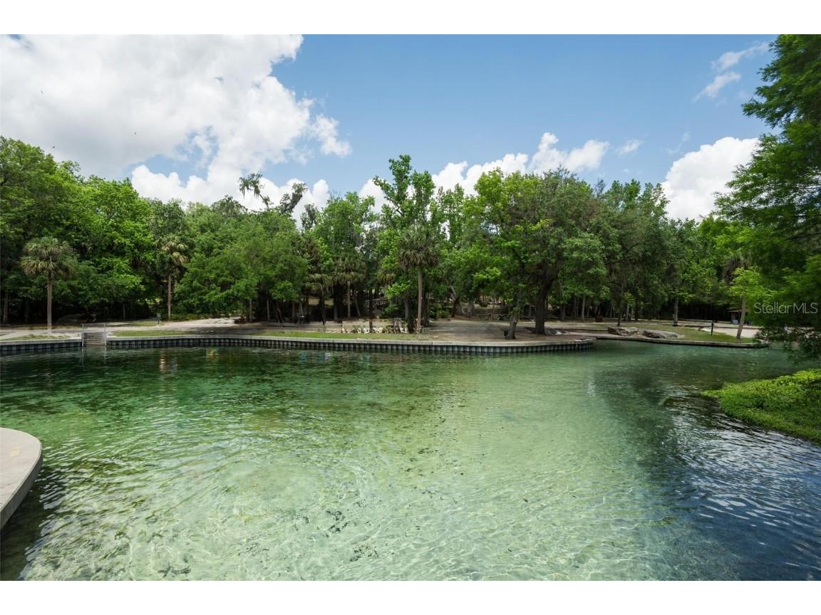 Kelly Park Road E Apopka FL 32712 V4941761 image2