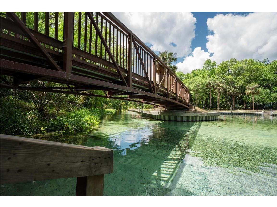 Kelly Park Road E Apopka FL 32712 V4941761 image5