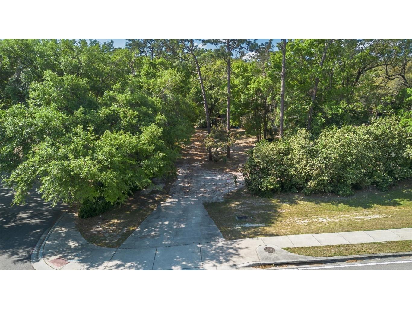 Kelly Park Road E Apopka FL 32712 V4941761 image6