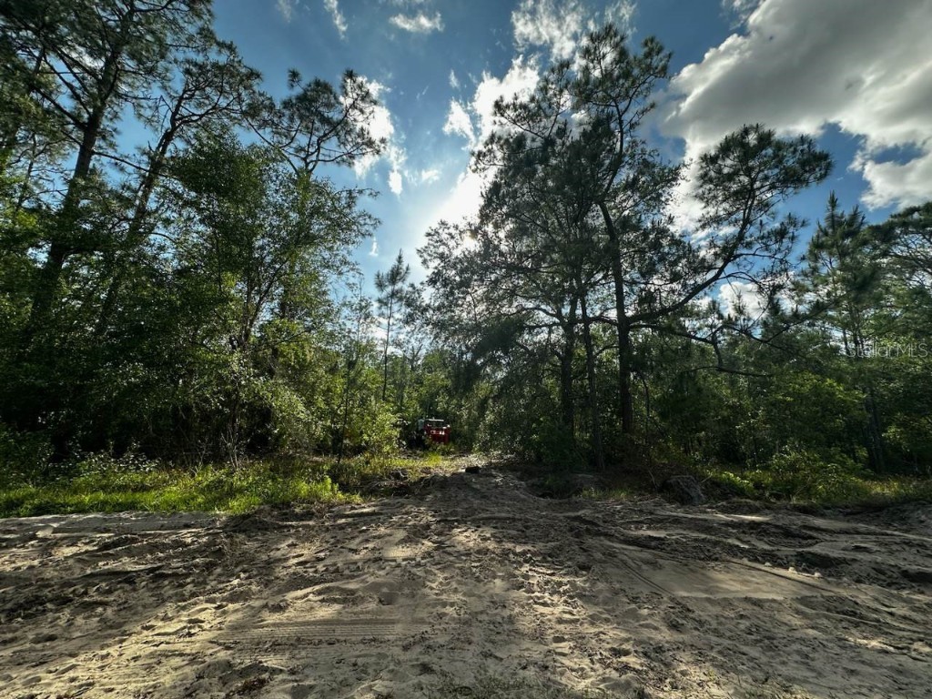 Kelly Ridge Road Frostproof FL 33843 T3500404 image1