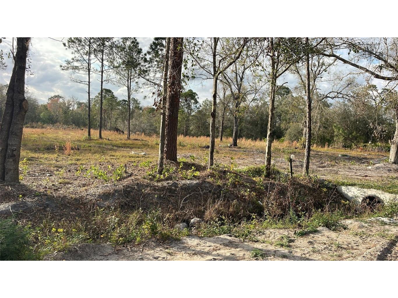 Kelly Ridge Road Frostproof FL 33843 TB8346618 image2