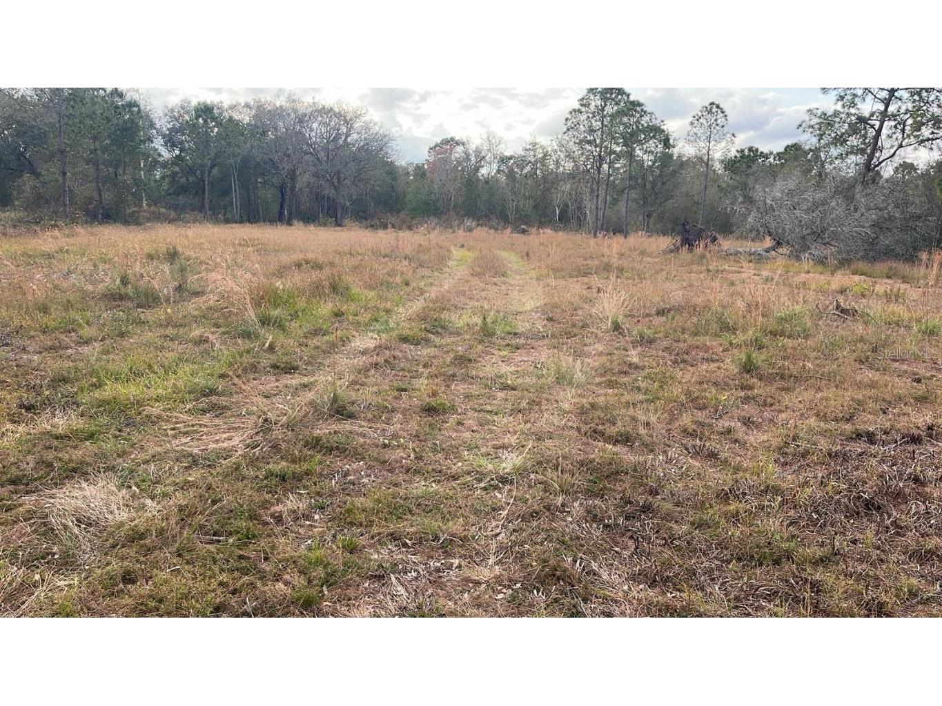 Kelly Ridge Road Frostproof FL 33843 TB8346618 image3